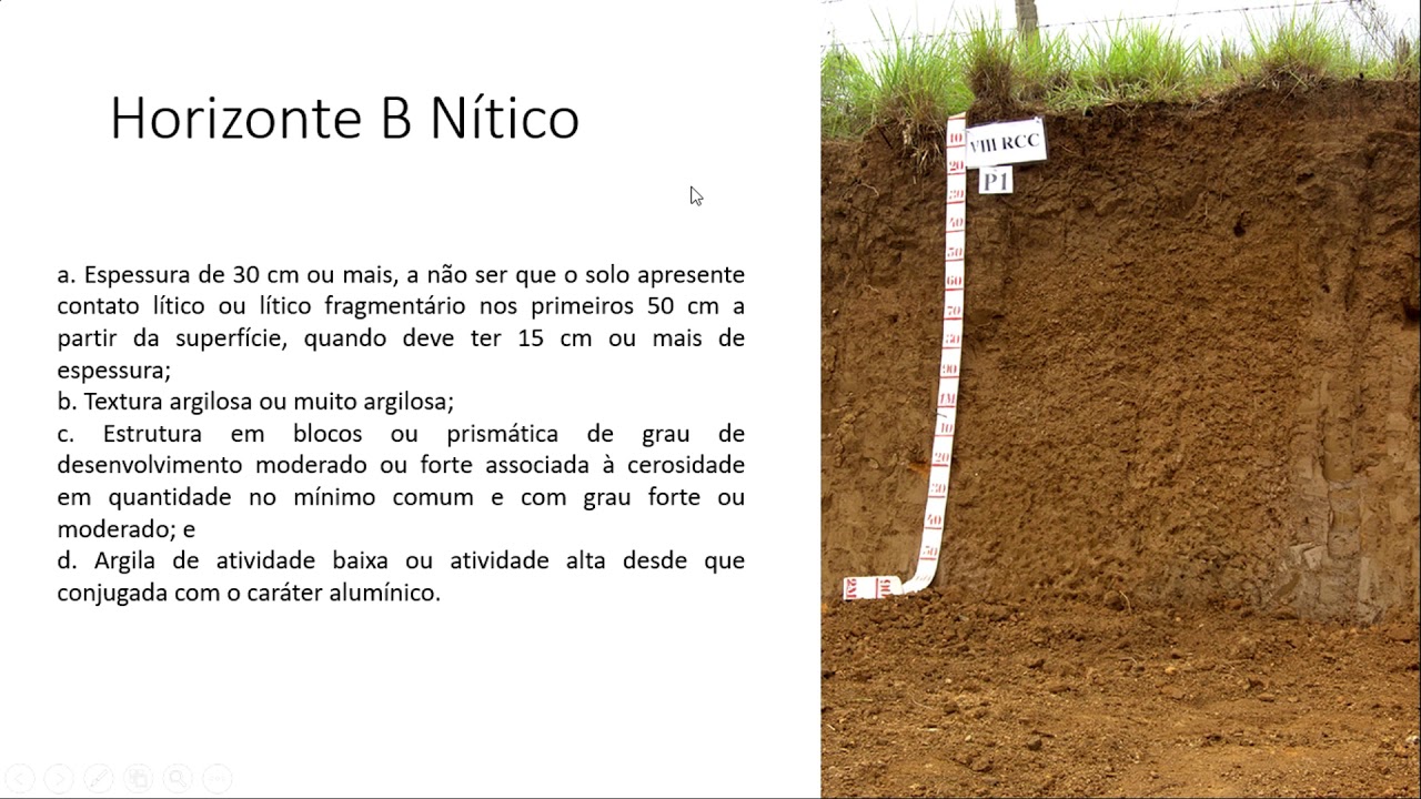 Aula Nitossolo - Levantamento e Classidicação de Solos