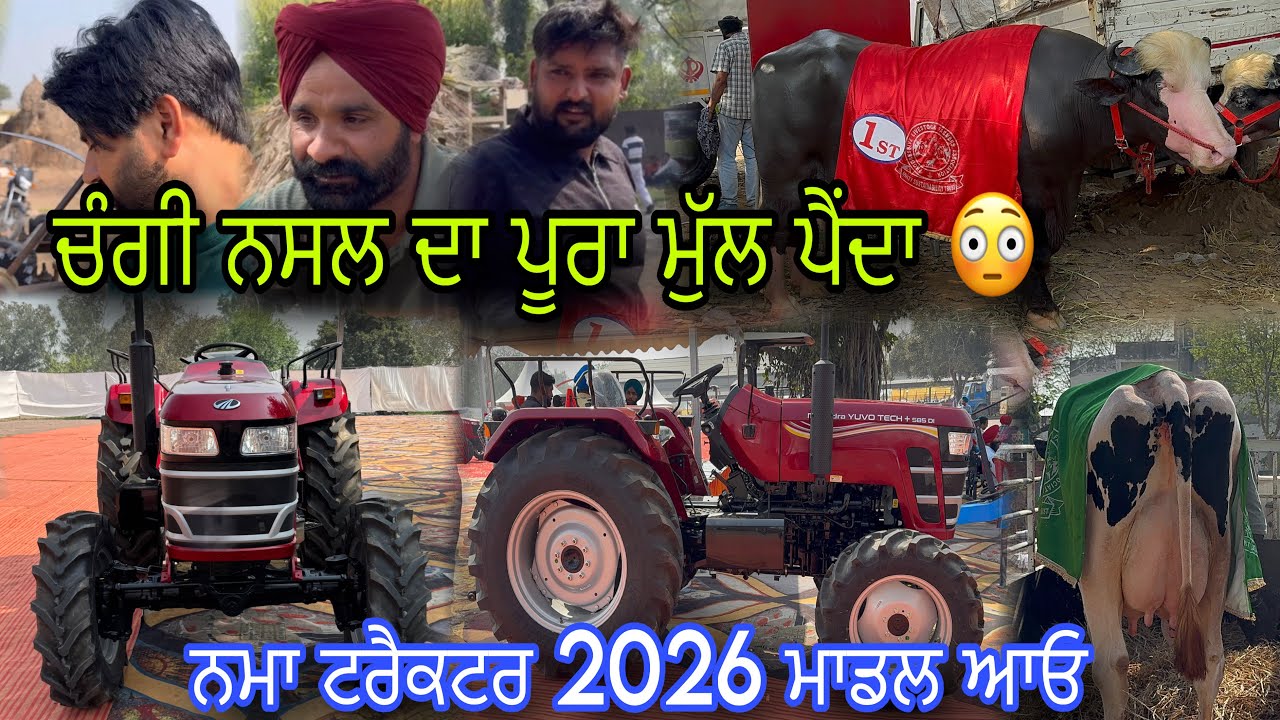 ਮਹਿੰਦਰਾ 585 Yuvo 4x4 ਜਾ Messy 254 4x4 ਕਿਹੜਾ ਵਧਿਆ ਰਹੂ 