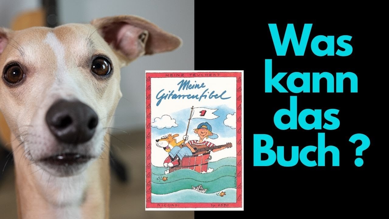 Meine Gitarrenfibel Band 1 Heinz Teuchert, Review, Blick ins Buch, Buch Besprechung