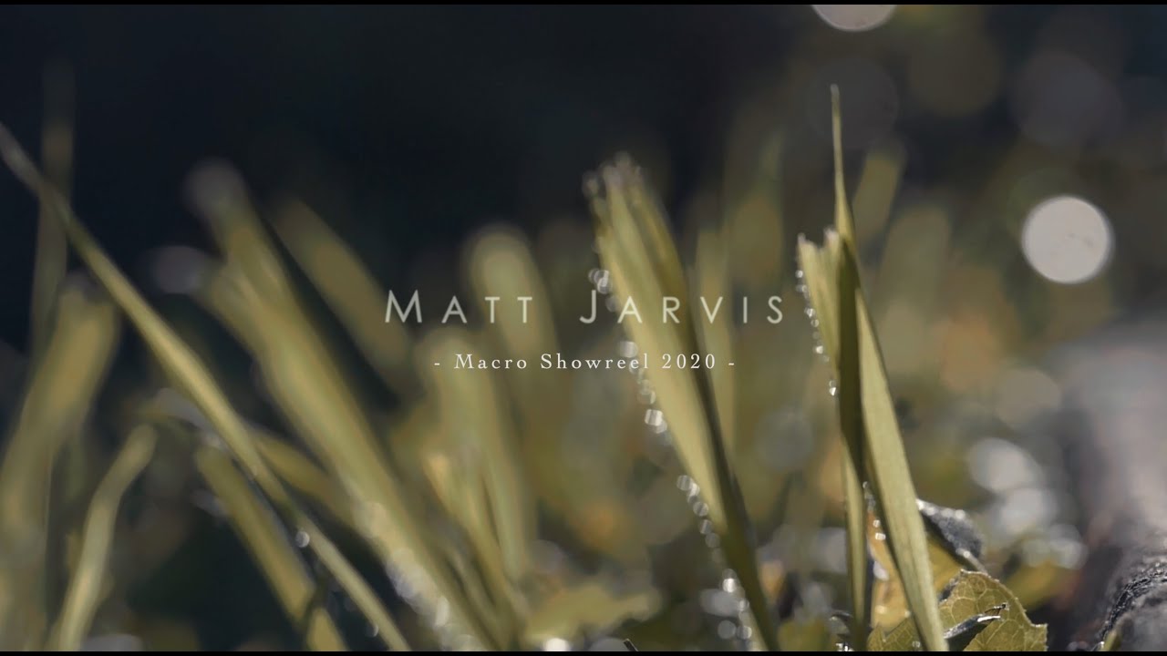 Macro Showreel 2020