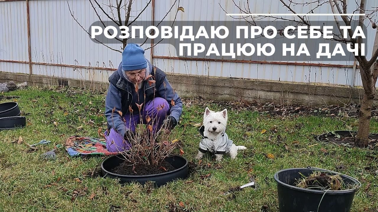 Розповідаю про себе та працюю на дачі