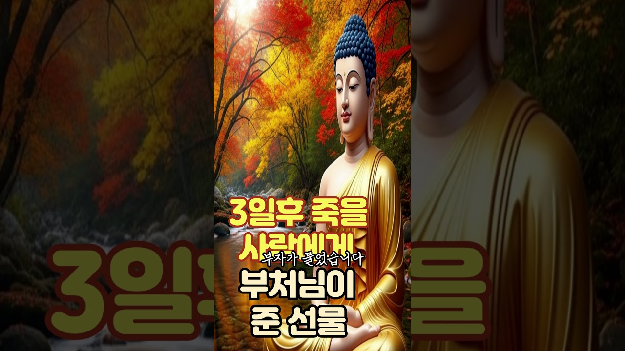 @3일후 죽은 사람에게 부처님이 준선물 ㅣ부처님 말씀으로 배우는 삶의 지혜｜인간관계 잘하는 법｜침묵의 힘｜마음 다스리는 법｜불교 오디오 북｜지혜로운 사람 되는 법ㅣ집착을 버려라
