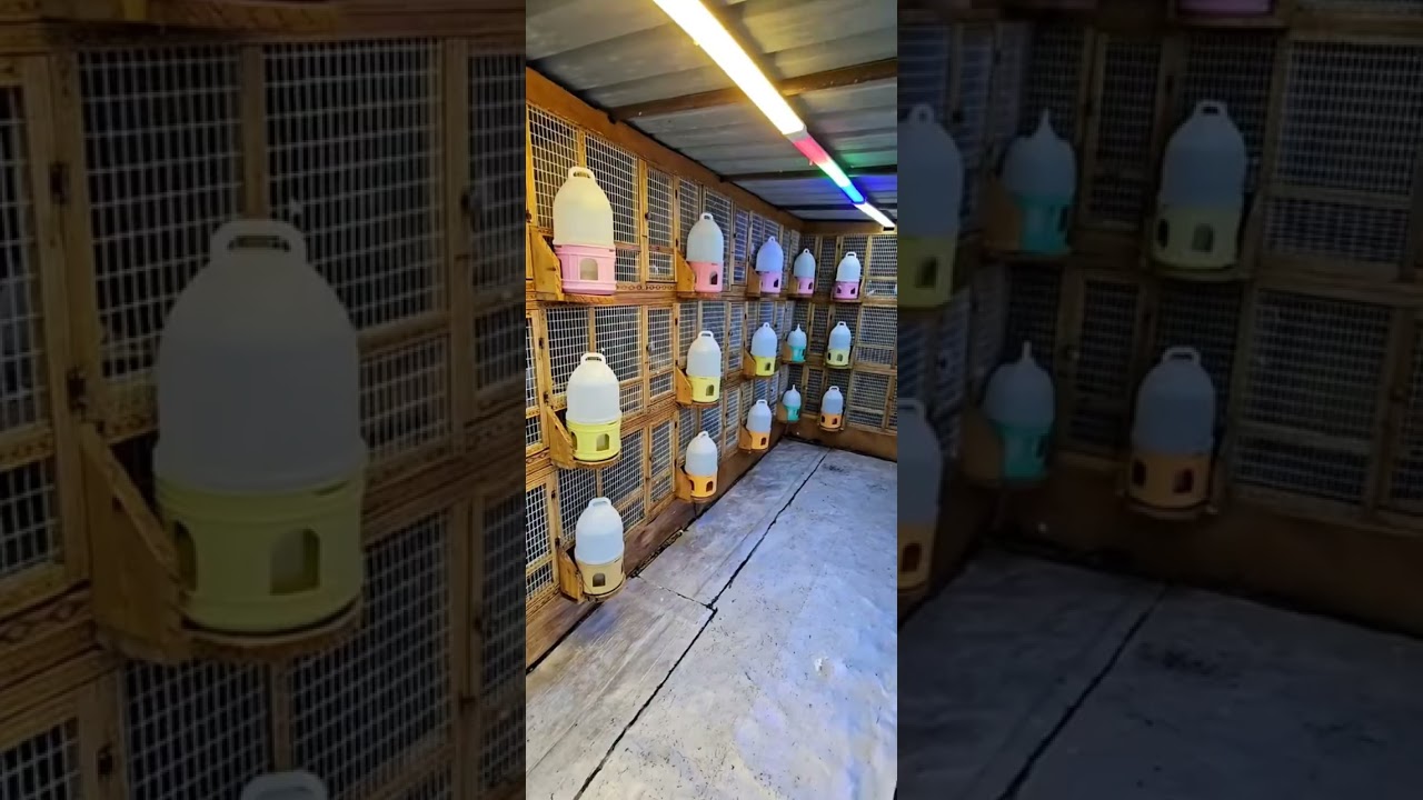 ٢٠ فبراير ٢٠٢٥