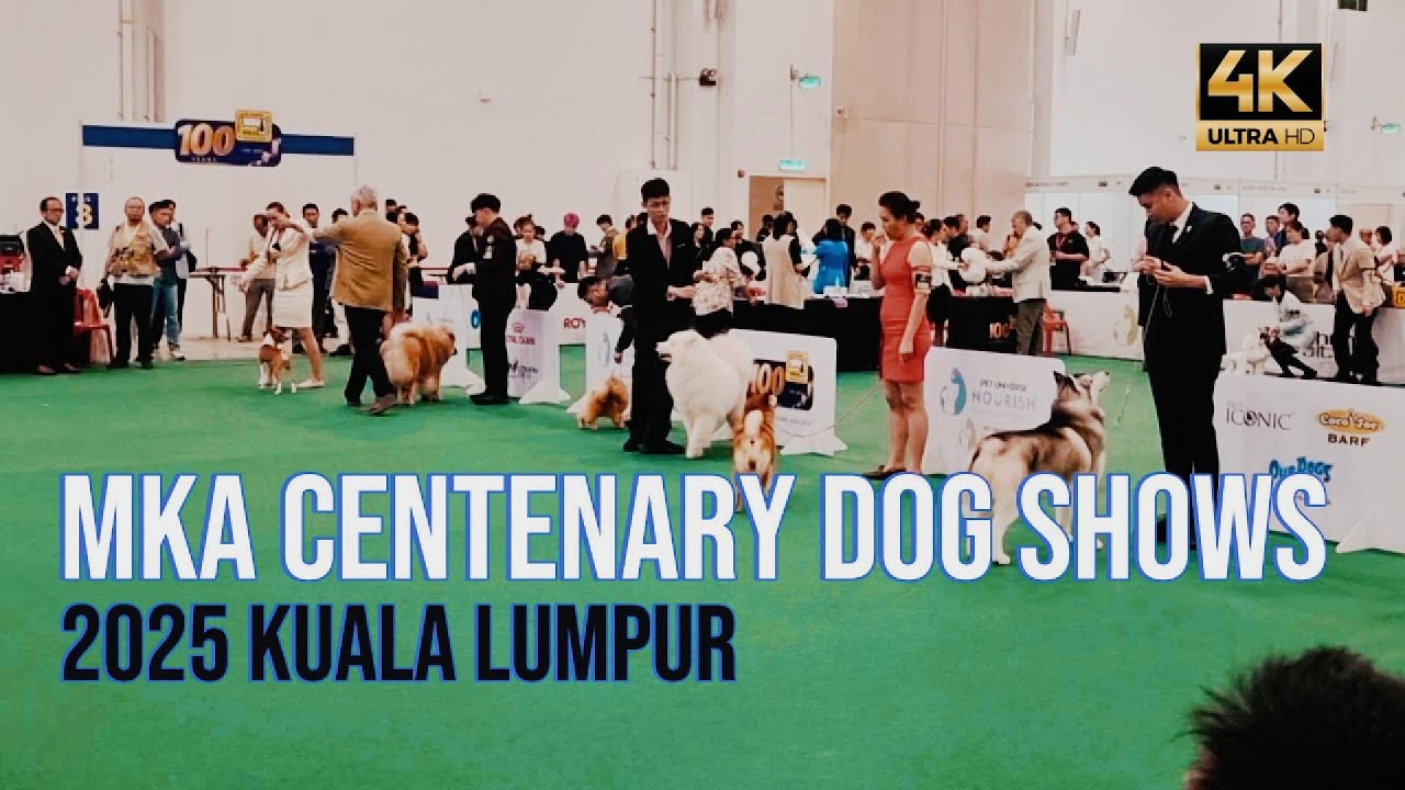 EXPLORING MKA CENTENARY DOG SHOW 2025 IN MALAYSIA | SO MANY ADORABLE DOGS! #MKADogShow2025Malaysia