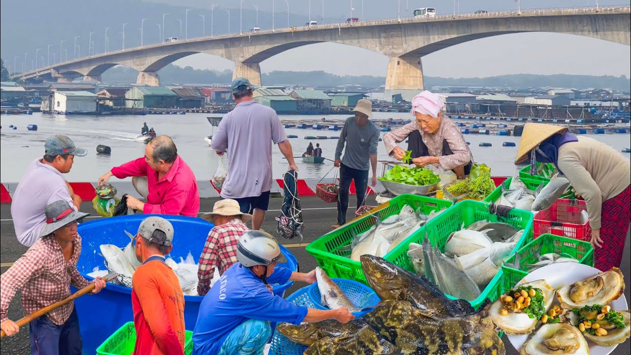 Xã Đảo Nằm Cạnh Thành Phố Vũng Tàu║Câu Đủ Loại Cá Ngon Làng Bè Quanh Đảo