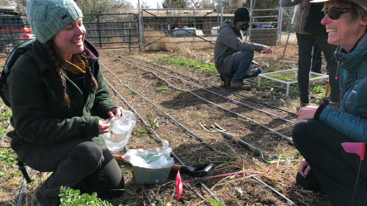Gathering Insights: Field Data Collection Workshop on Johnson-Su Compost Inoculations