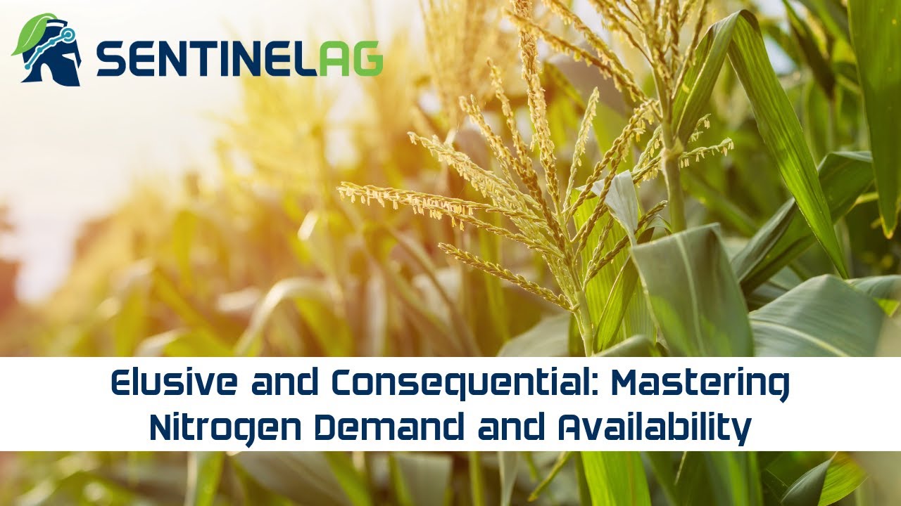 Elusive & Consequential: Mastering Nitrogen Demand and Availability