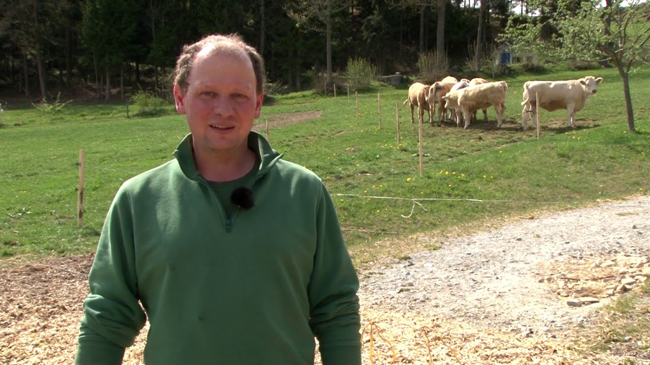 Tierwohl Rind Sicherheit für Mensch und Tier