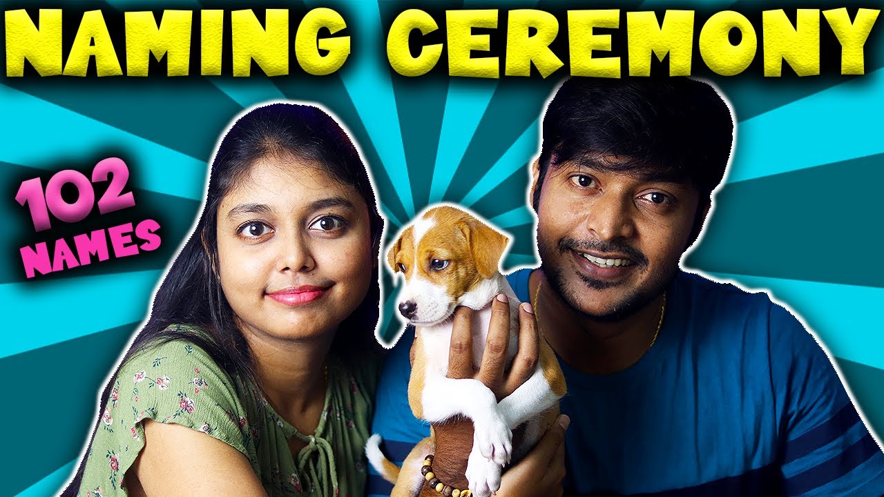 Adopting a street puppy | Naming Ceremony | 102 names - Sandan Reviews