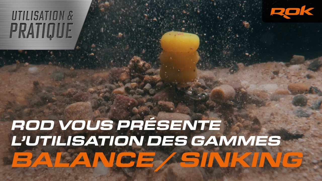 APPÂTS ARTIFICIELS pour PÊCHE de la CARPE! ROK Fishing