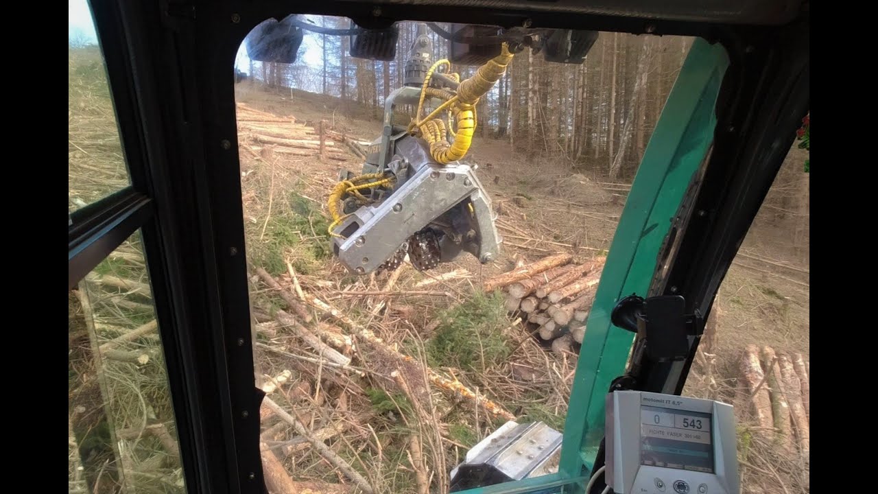 🌲*OnBoard* Impex Königstiger T25 • HarvesterAction • 15 Meter Kran • Steilhang • Tiger in wood🌲