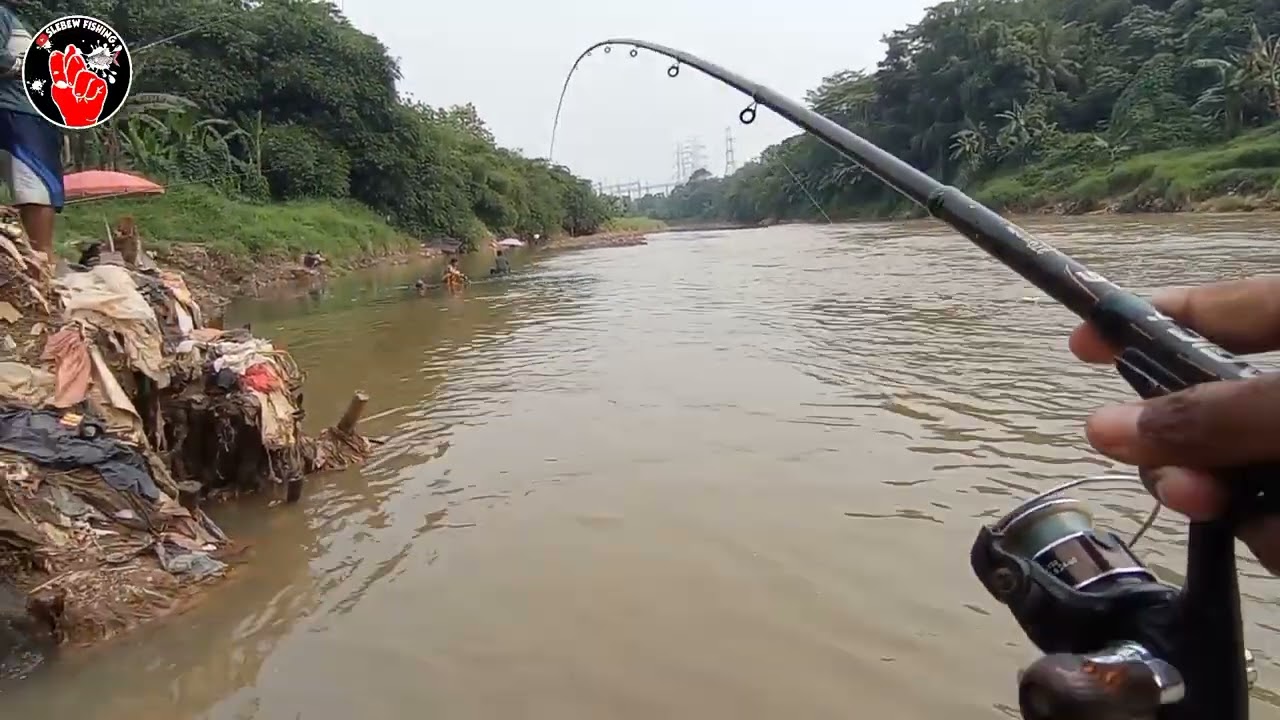 MANCING TAWES SIRIP MERAH DENGAN TEGEK KOLONG KESAYANGAN‼️ PART 2‼️