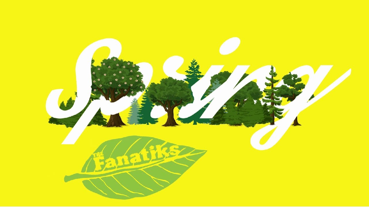 The Fanatiks - Spring