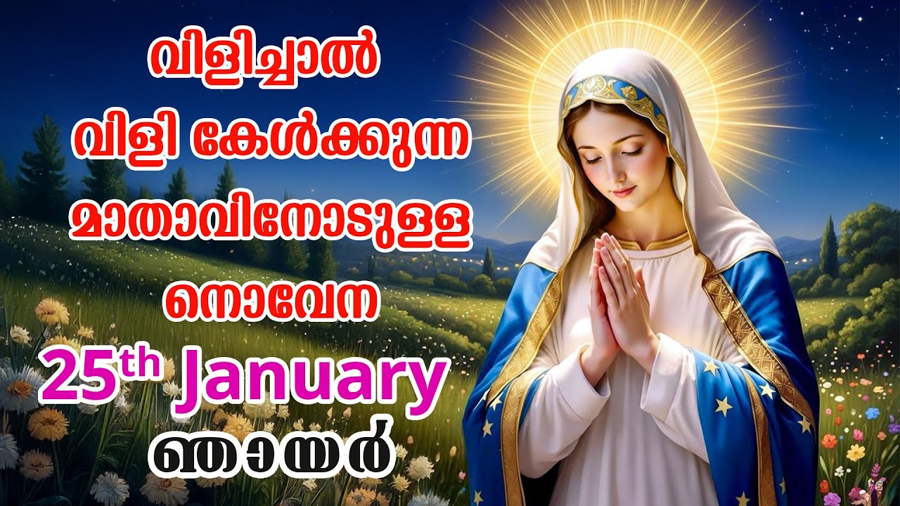 25th January 2026 | വിളിച്ചാൽ വിളി കേൾക്കുന്ന മാതാവിന്റെ നൊവേന  | VachanamTV #novenaprayer #novena