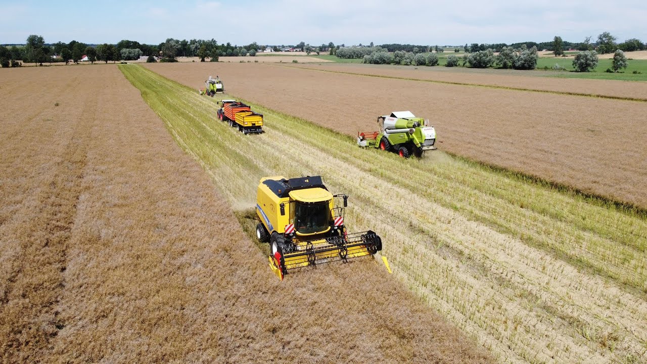 Żniwa 2020 - Rzepak ☆ Claas Tucano 420 ☆ Claas Tucano 320 ☆ New Holland TC5070