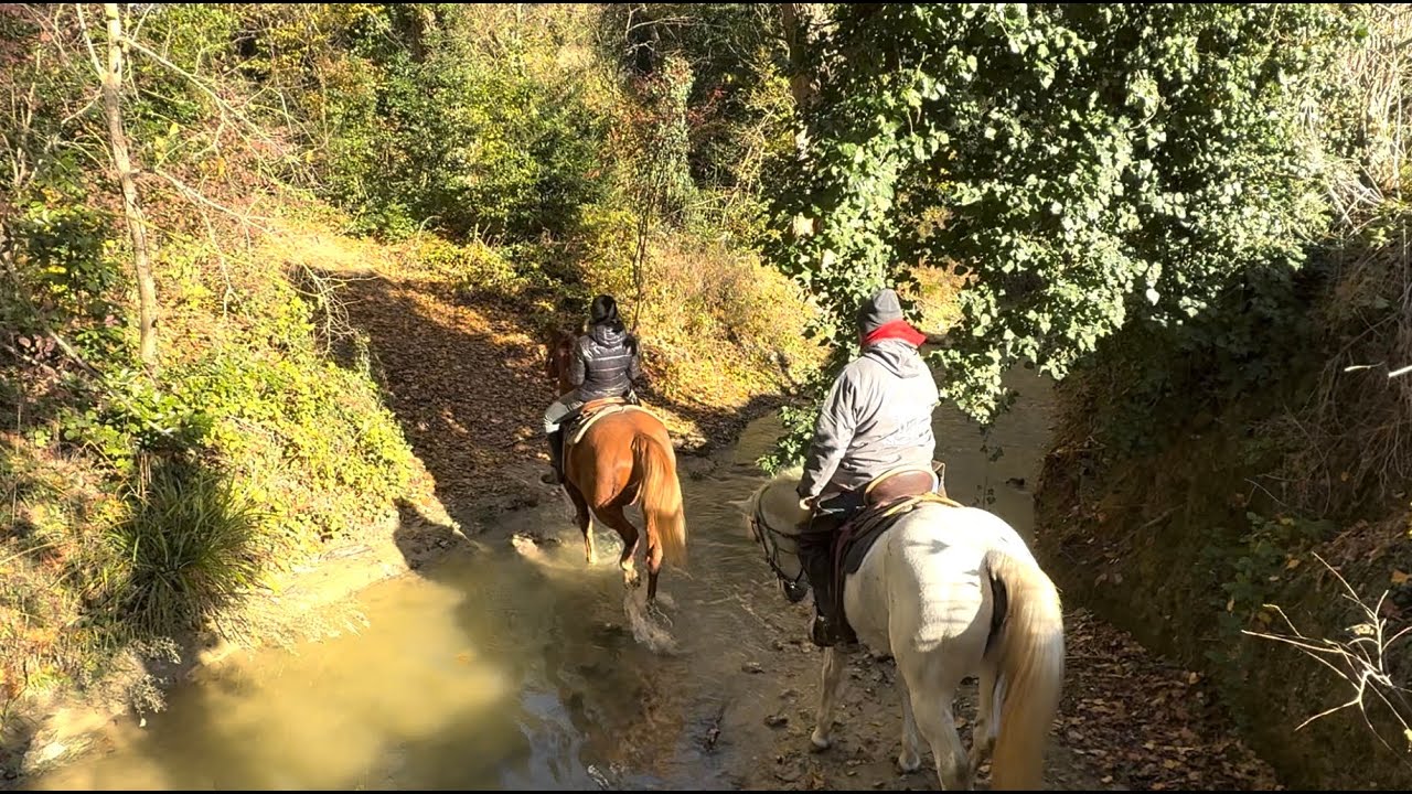 Horse Riding