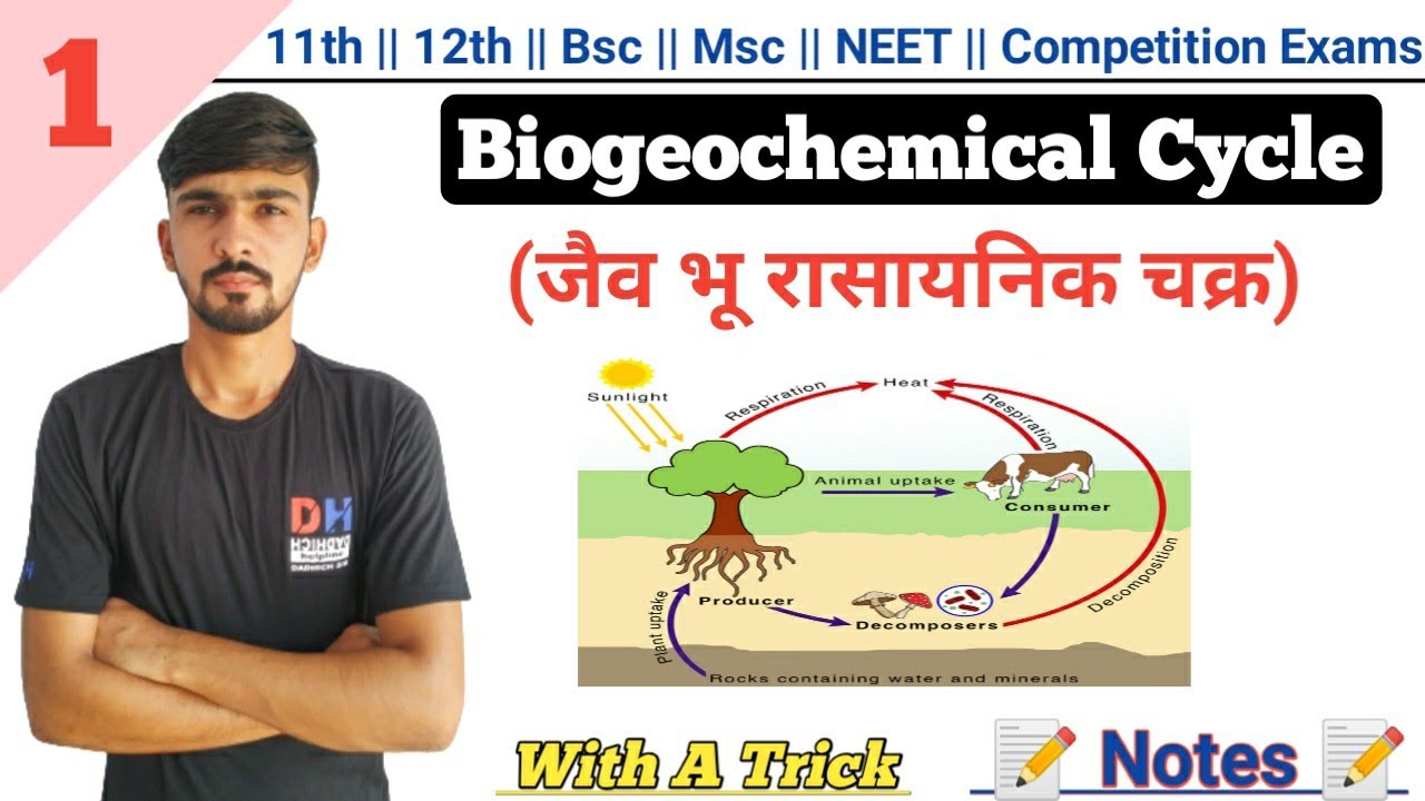 Biogeochemical Cycle In Hindi || Environmental Biology || By Dadhich Sir
