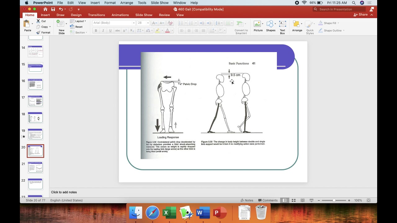 Pelvic Biomechanics during Gait
