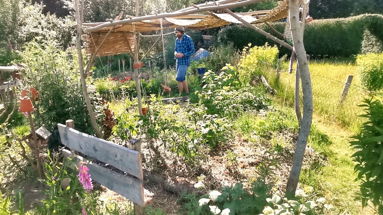 🌱 Schritt f&uuml;r Schritt zum Permakulturgarten - Gartenrundgang Ende Juni 2022 | 🎬 Folge 233