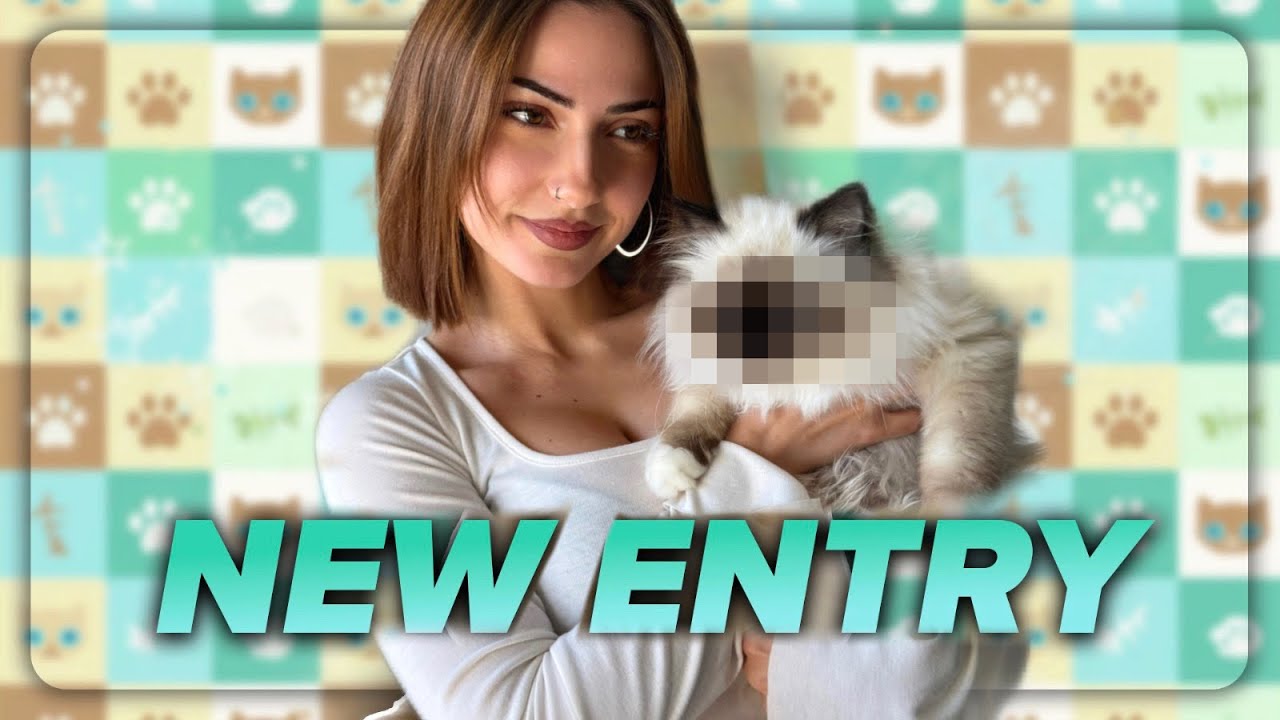 HO PRESO UN GATTINO!