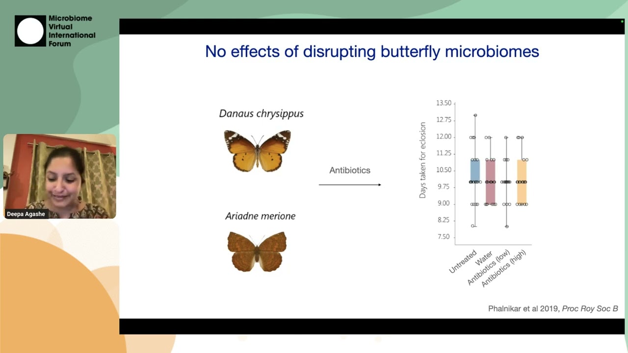 Deepa Agashe – Learning from unstable microbiomes | MVIF43 S05