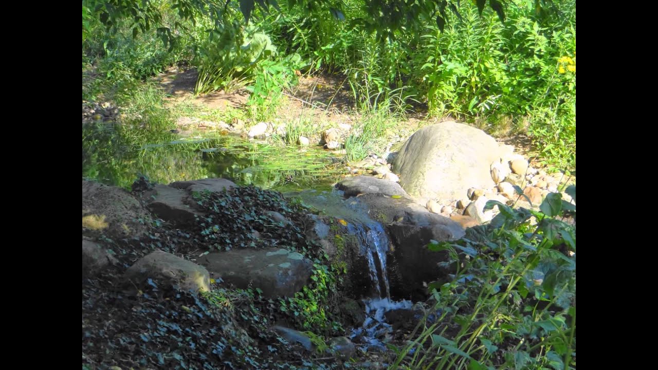 Klein-Flottbek. Botanischer Garten.