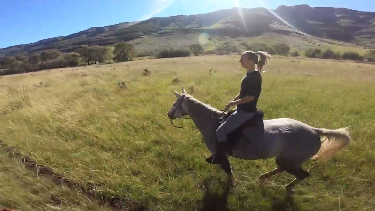 Ugie horseride 28-04-2019