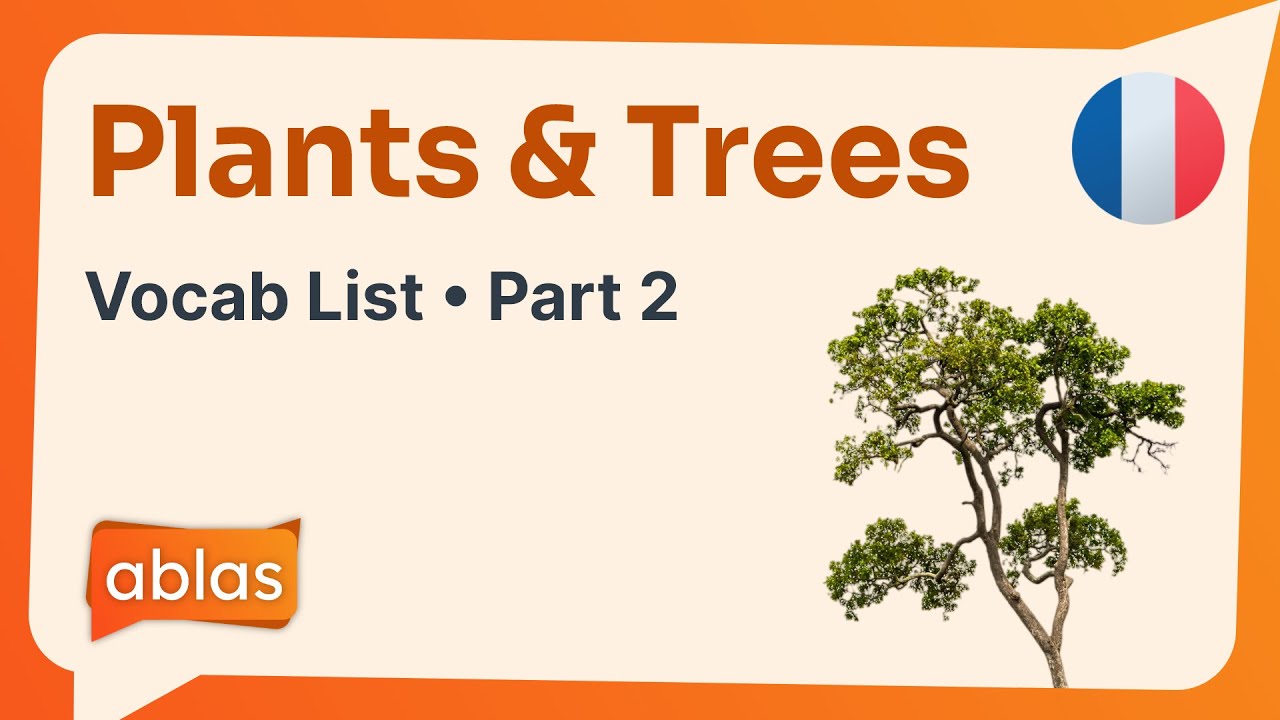 Plants & Trees | French Vocabulary List (Part 2)