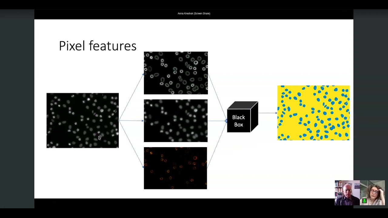 Tutorial Image Analysis with Machine Learning Basic Principles and Examples Using Ilastik  28 03 202