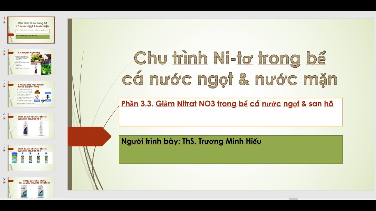 Chu trình Ni-tơ trong bể cá nước NGỌT và MẶN| Phần 4.3: Giảm NO3