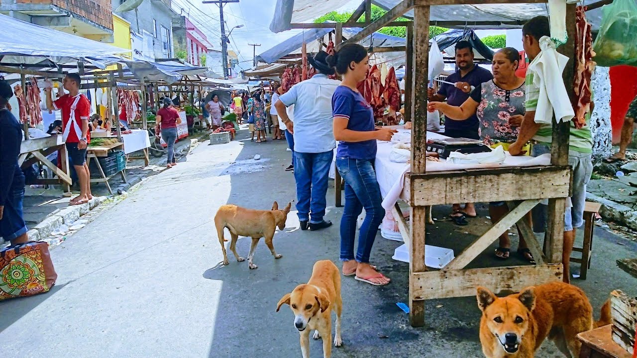 FEIRA LIVRE DE LAJE GRANDE PERNAMBUCO VEJA O QUE TEM NESSA FEIRA