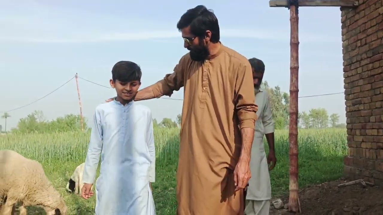 Saryi bat naseba di@mujahidchanofficial ll
