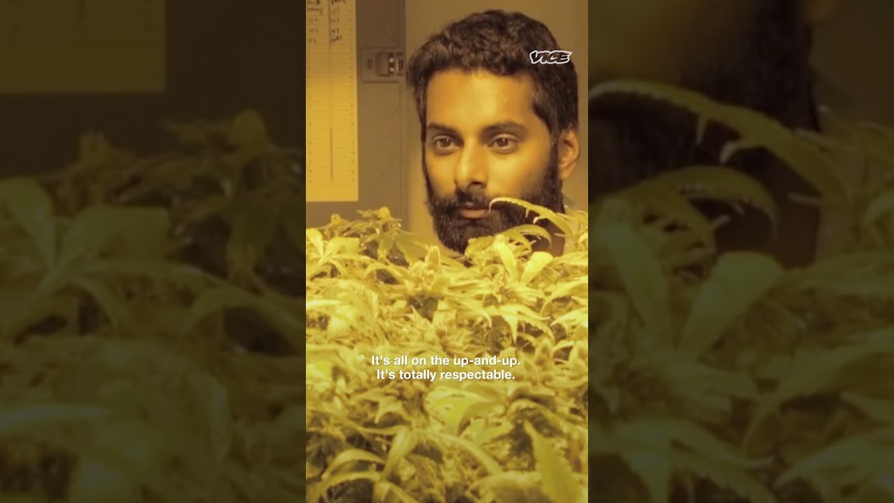 A Mom Tours a Grow House for the First Time #shorts #cannabis