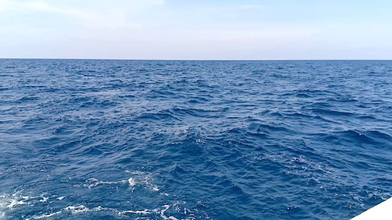 green jobfish Rapala trolling