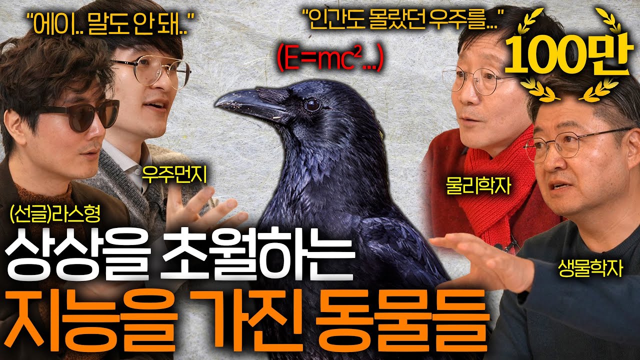 최근 보고되고 있는 놀라운 지능을 가진 동물들 (넘을 수 없는 능력 ㄷㄷ) ㅣ과학을 보다 EP.44
