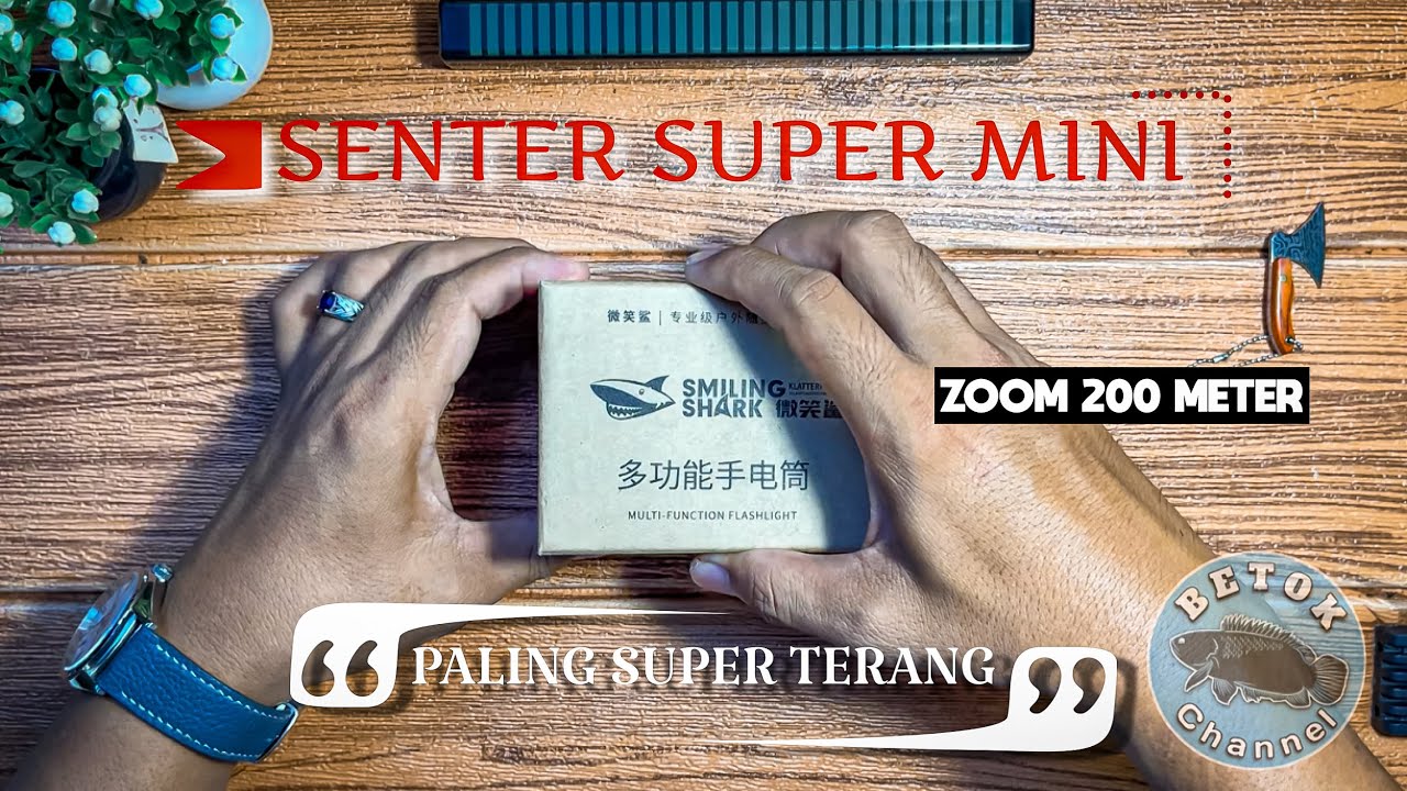 SENTER SUPER MINI PALING TERANG LED LASER DARI SMILLING SHARK SD 5028