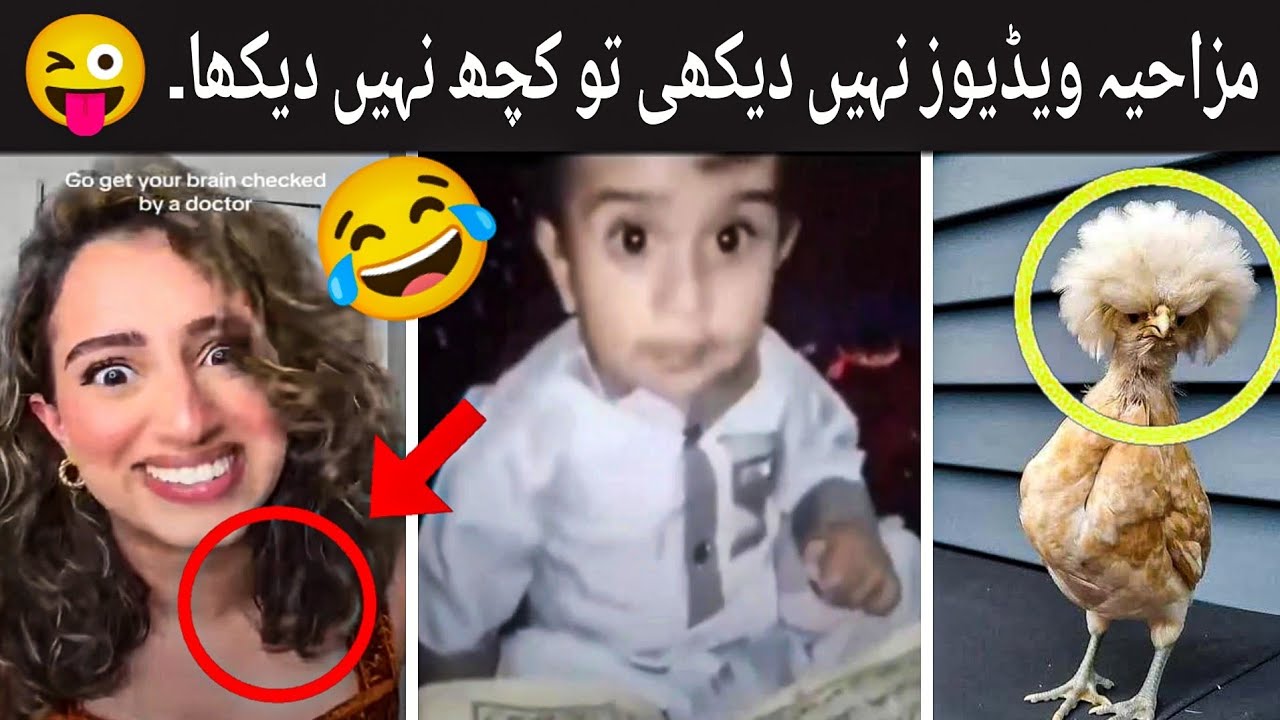 Most Funniest and viral moments caught on camera 🤣😂 | funny video