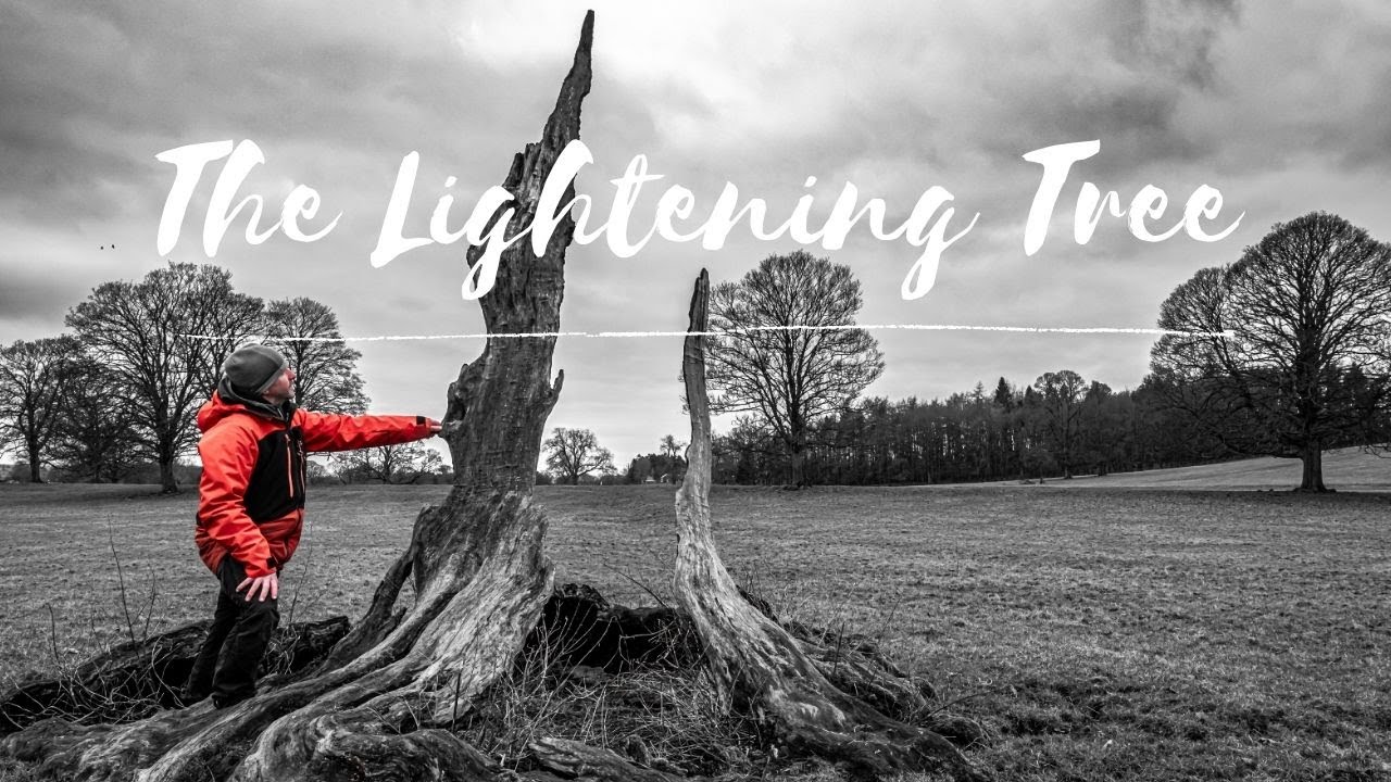 The Lightening Tree | A Photographic Gem in the Landscape
