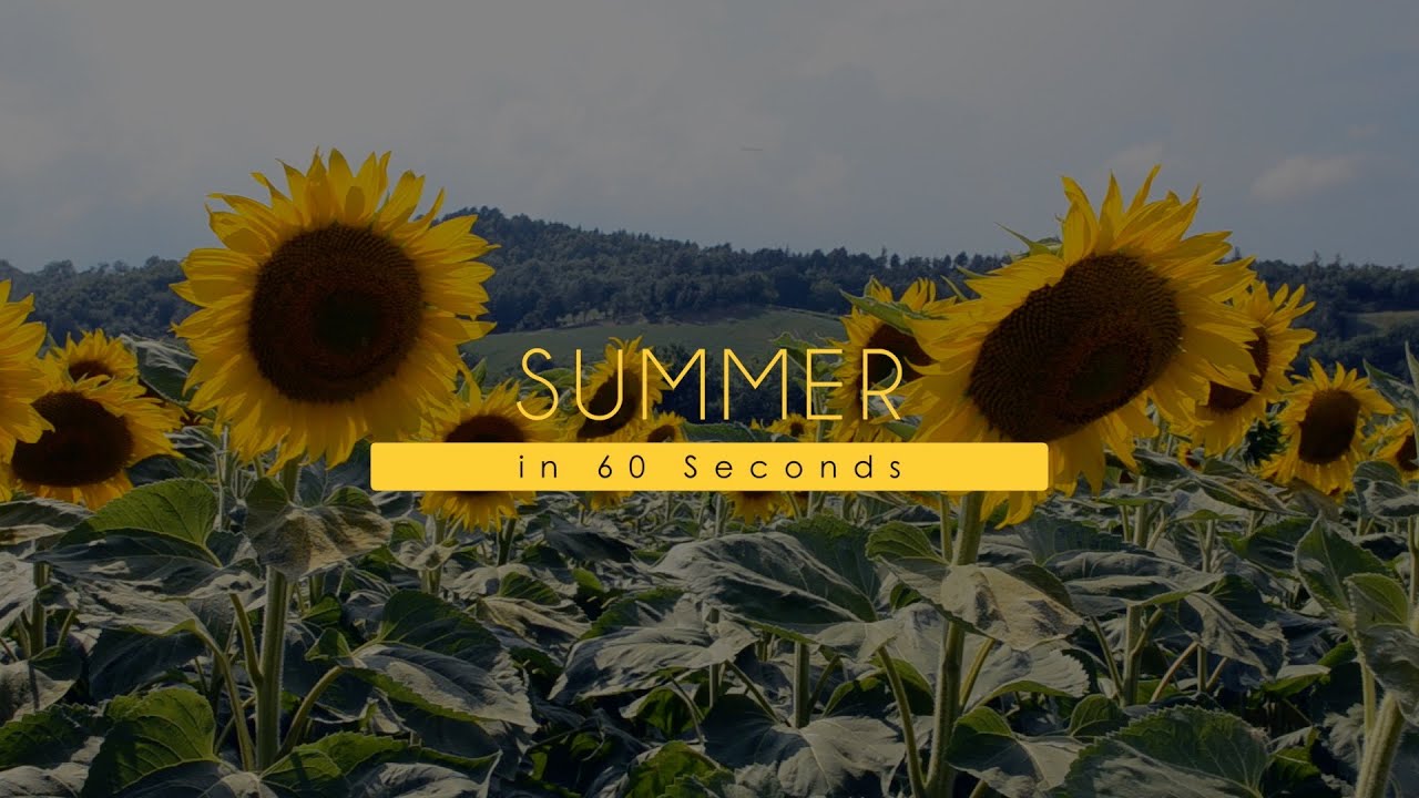 Summer in 60 Seconds - life in Le Marche, Italy