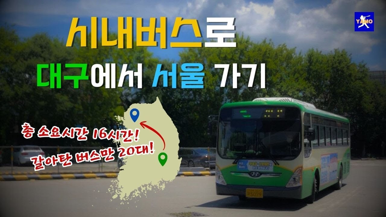 대구에서 서울까지 시내버스로 갈 수 있을까? | 시내버스 여행