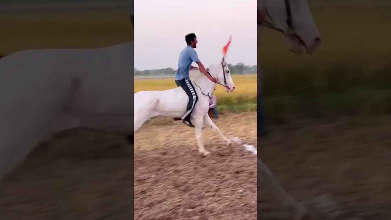 ￼Nukra 🐎🐎 race