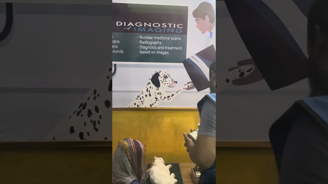 Ветеринарная клиника доктора Сагира (Dr. Sagir's Pet Clinic), Дакка II. Телефон ветеринарной клин...