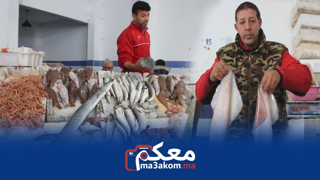 اسفي بلاد السردين والحوت والجودة عالية.. في عز الصيف والحرارة الخيرات موجودة والثمن مناسب