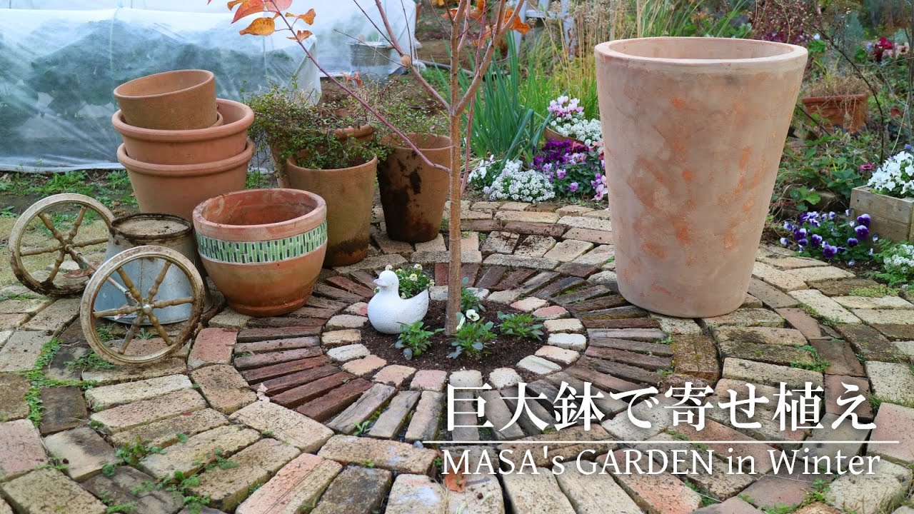 【庭Vlog】大きなテラコッタ鉢に冬の花を植えてみる