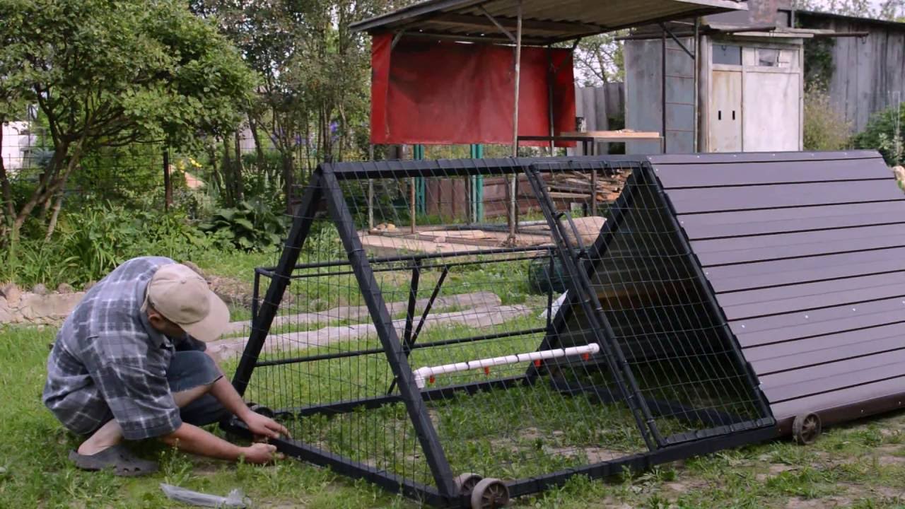 Куриный трактор ч. 3