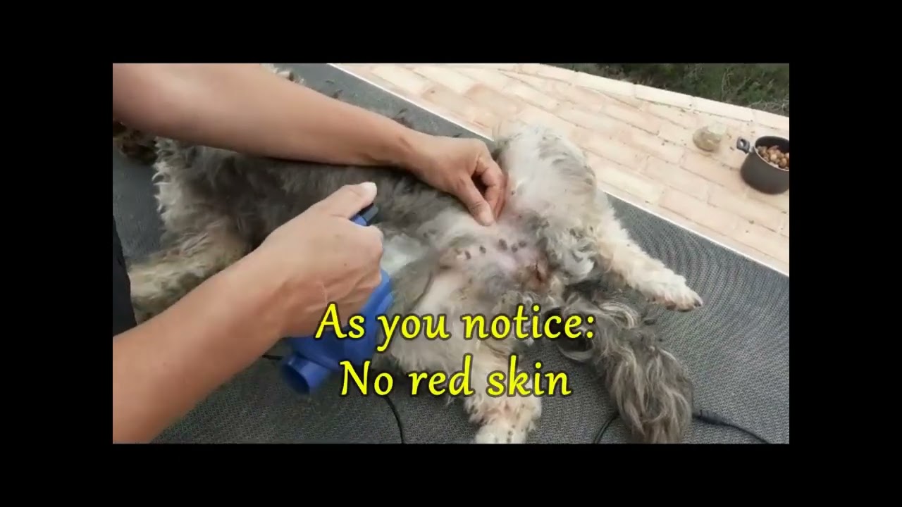 Automatic Slicker Brush for Pets