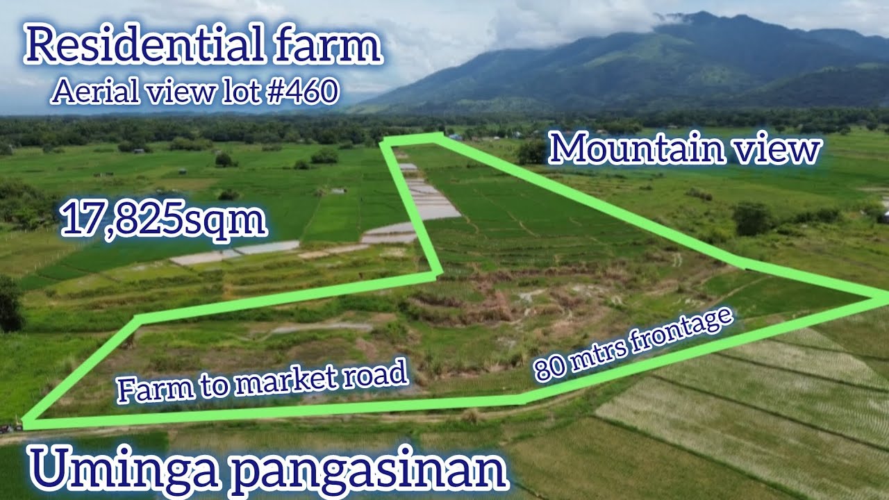 Lot#700 Aerial view of lot#460 murang residential farm 900 mtrs from provincial road 17,285sqm 