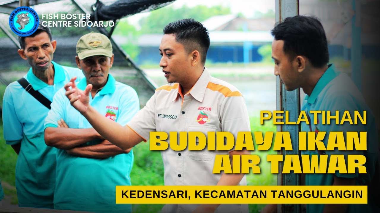 Pelatihan Budidaya Ikan Air Tawar Desa Kedensari, Kecamatan Tanggulangin Di P2MKP Fish Boster Centre
