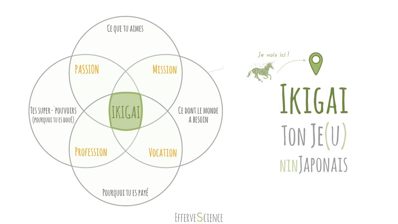 Ikigai | Ton Je(u) ninJaponais | Quelle est ta mission de vie ?