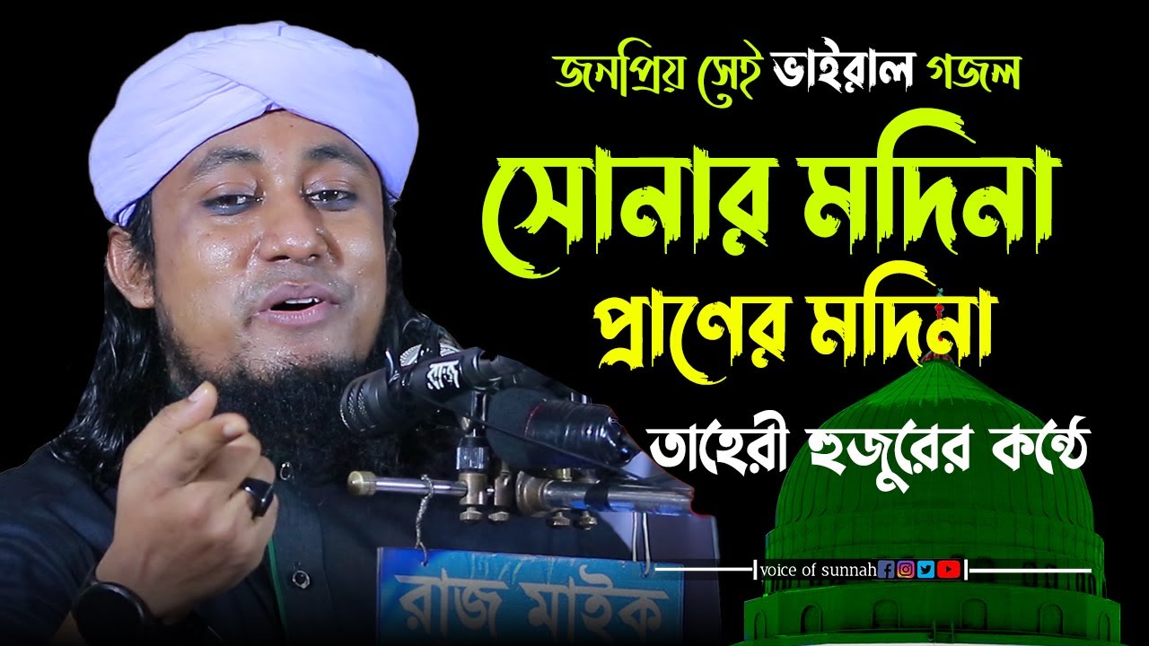 জনপ্রিয় সেই ভাইরাল গজল সোনার মদিনা তাহেরী হুজুরের কন্ঠে । mufti giyas uddin taheri | voice of sunnah